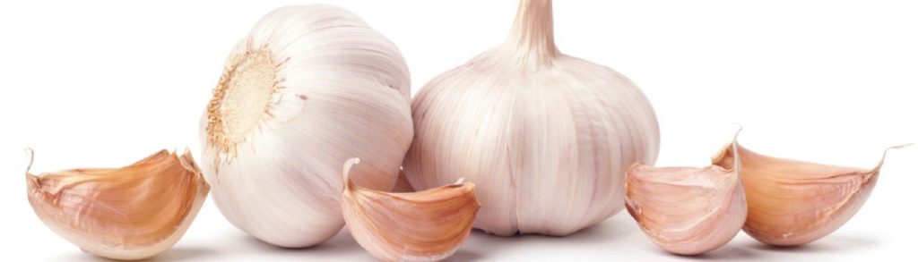 beneficios curativos del ajo